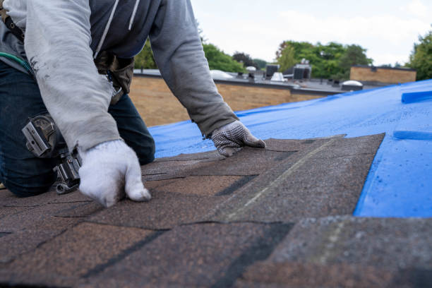 Best Chimney Flashing Repair  in Fowler, CO